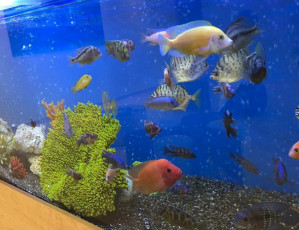 Our children's best friends