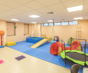 العلاج الوظيفي